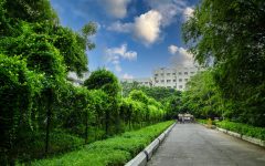 Campus_Walkways-Green_VOOL0258