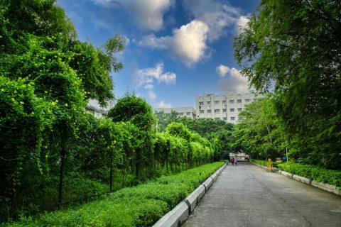 Campus_Walkways-Green_VOOL0258