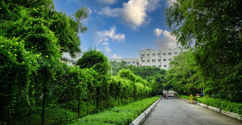 Campus_Walkways-Green_VOOL0258