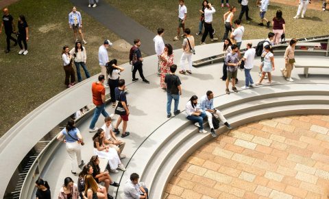 pexels-ciro-palomba-1275986148-31920894