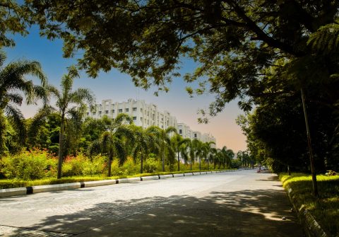 Campus_Road-Trees-Buildings-Sky_VOOL0272
